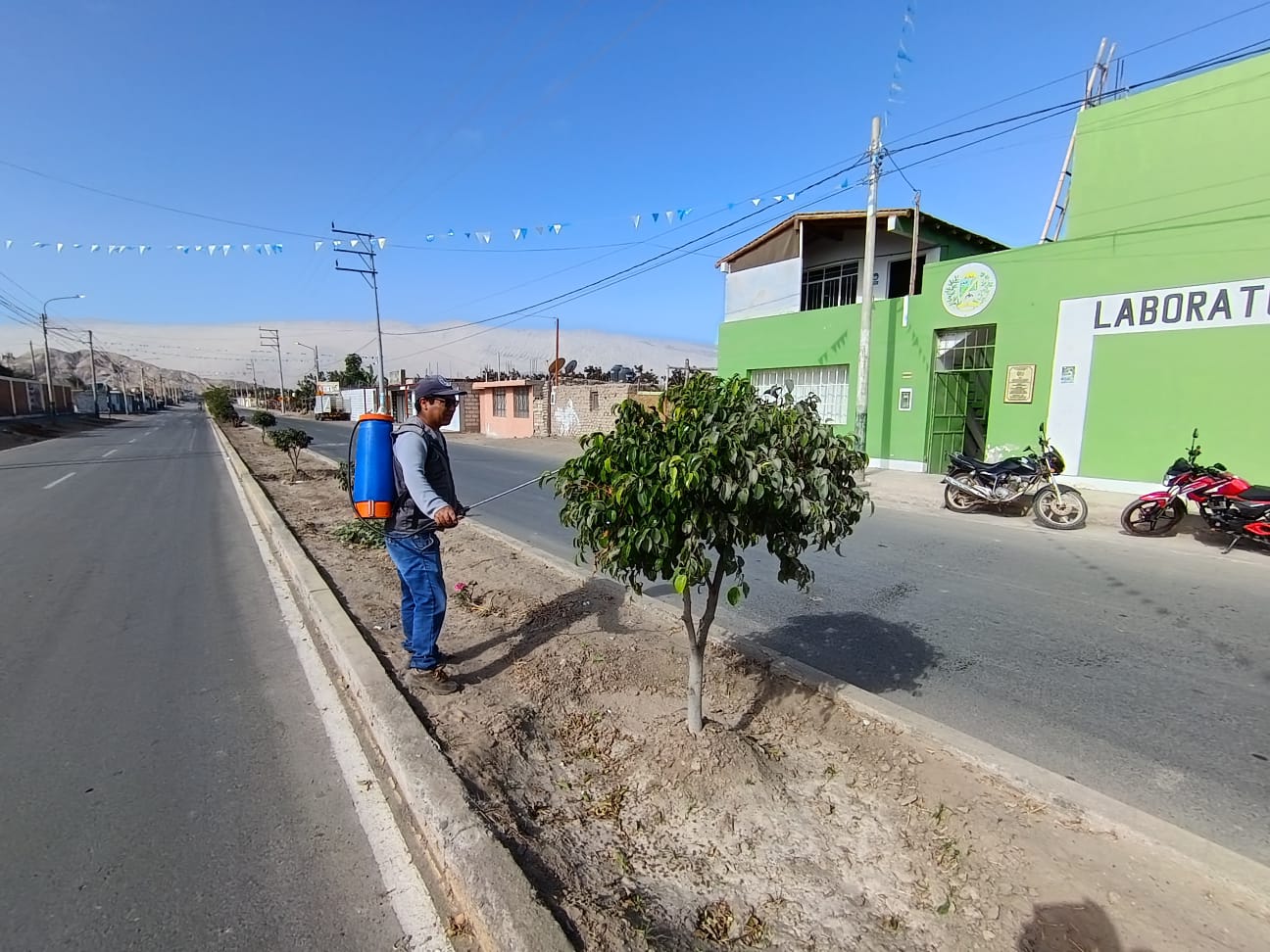 Trabajo agrícola de apoyo
